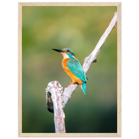 4f66b0da-774b-4598-b277-82a88be7870c