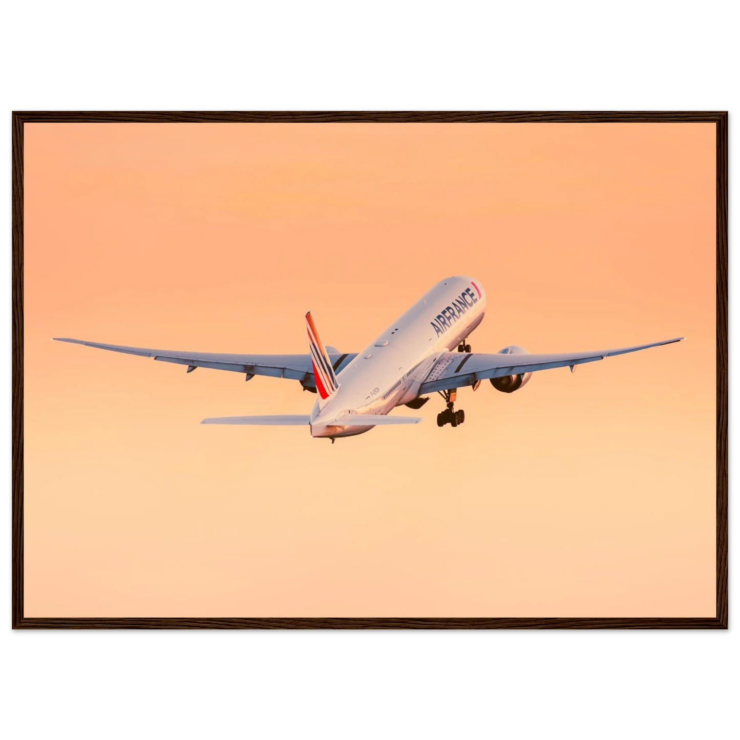 07a20966-406d-40d8-b6b0-e62de7edc2fd