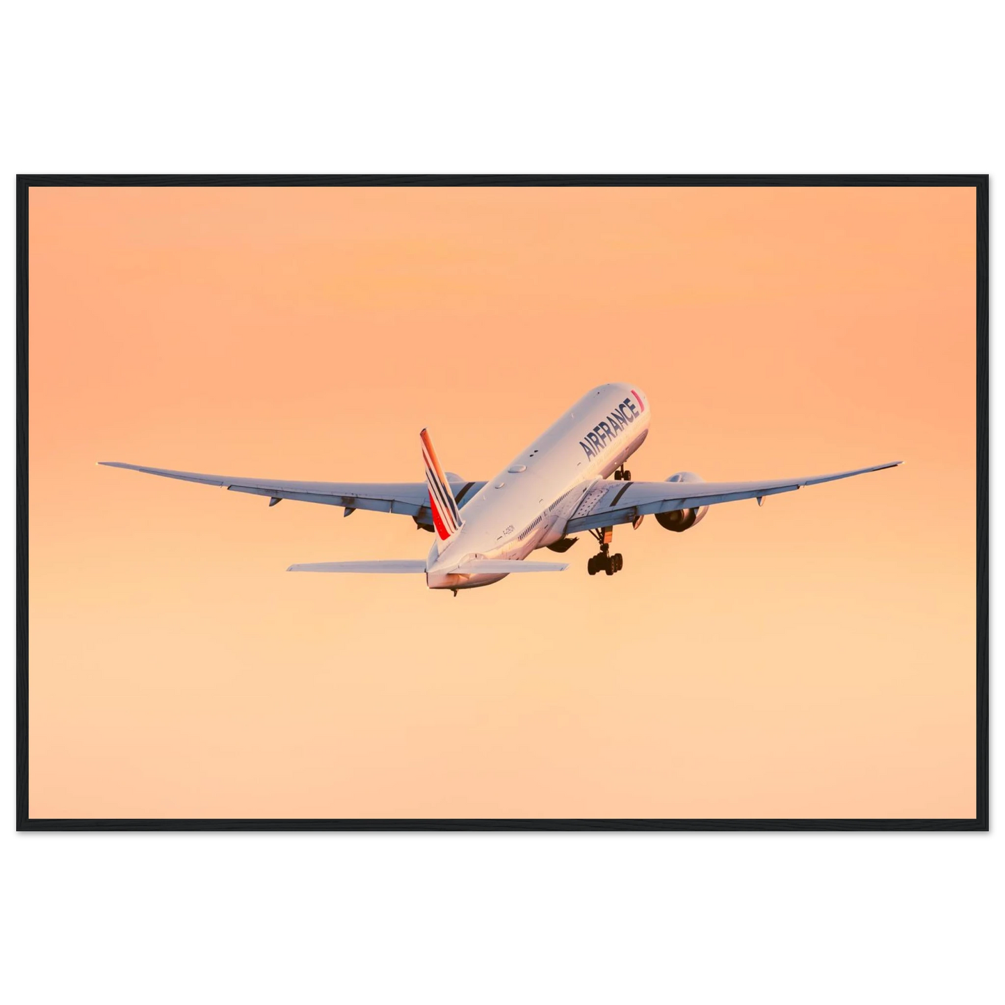 0e22a1ab-aa90-4ab3-b585-11fb0848fb86