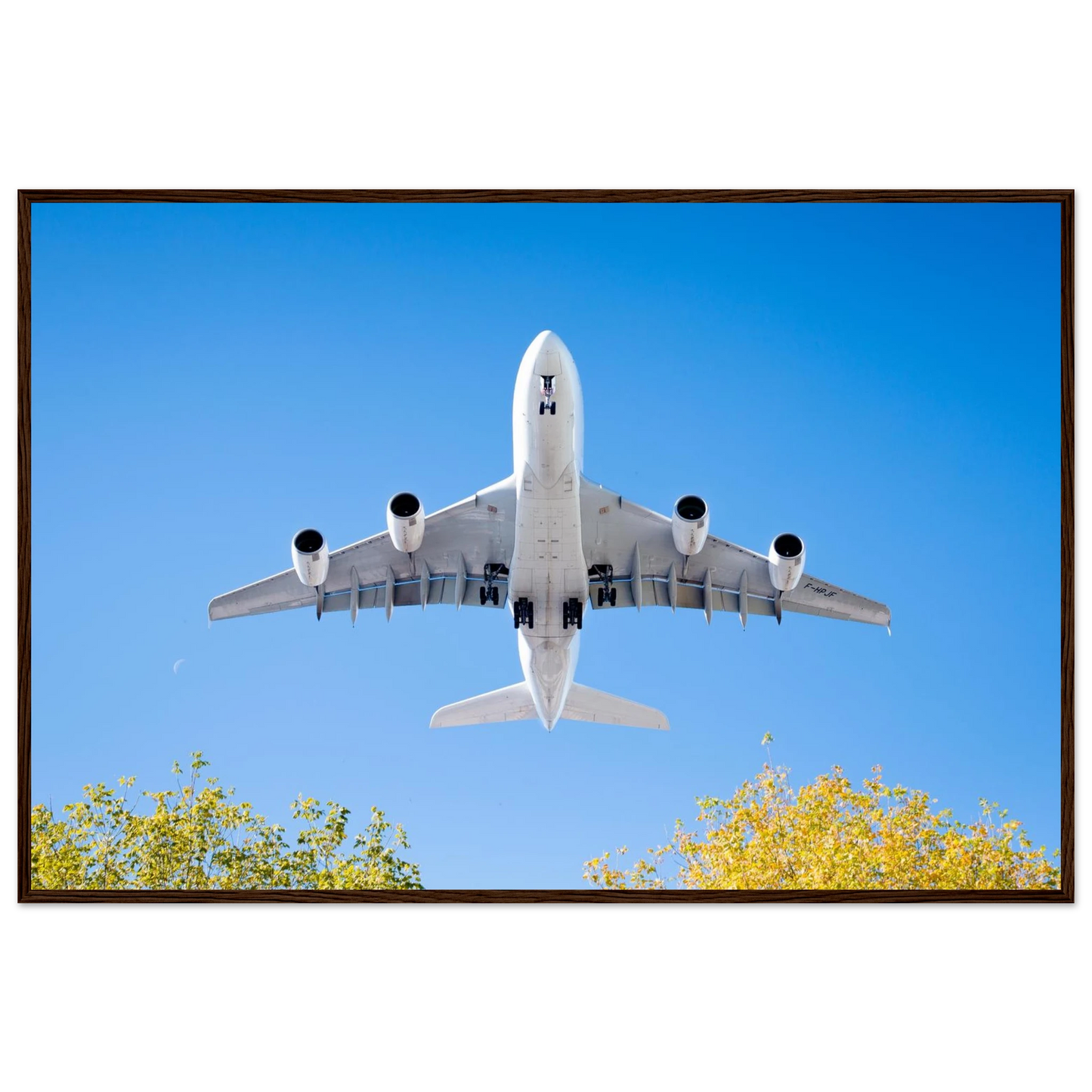1153336b-bdca-4136-b399-da03c5ec15a7