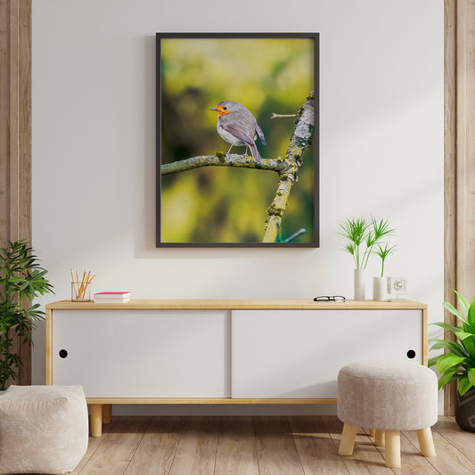 Rencontre Inattendue