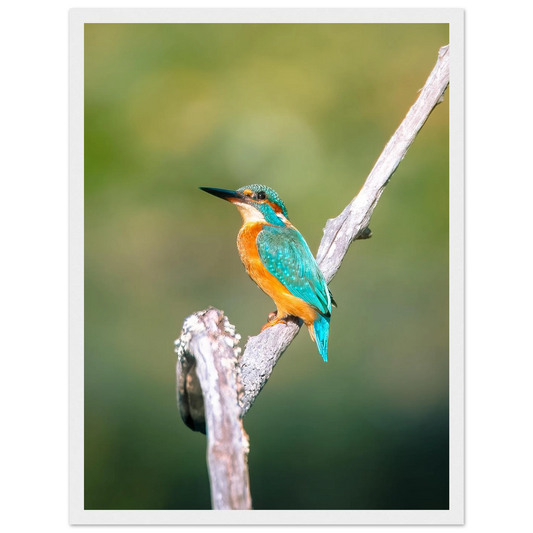 37233a1f-c067-4fc5-893c-96cedde91682