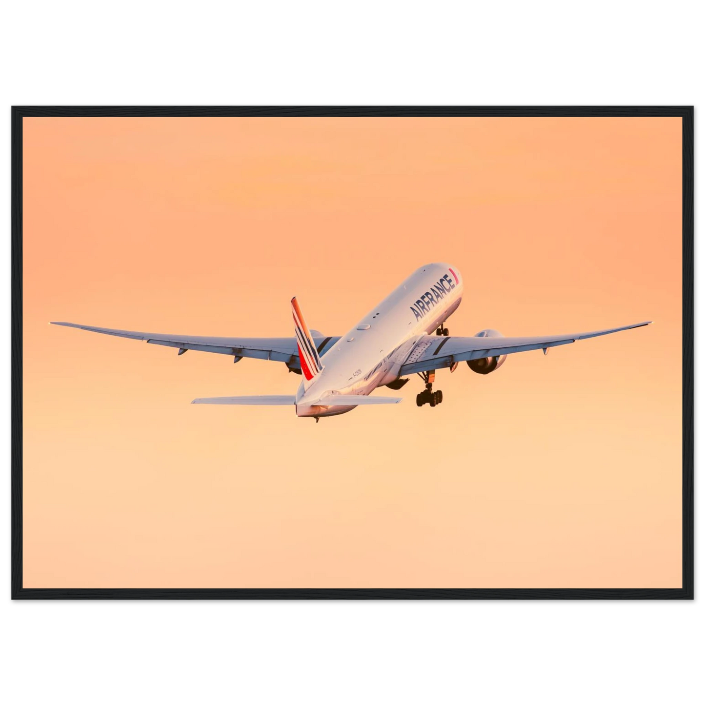 59e928ee-c981-4a37-9cc8-d0d4b6b6828d