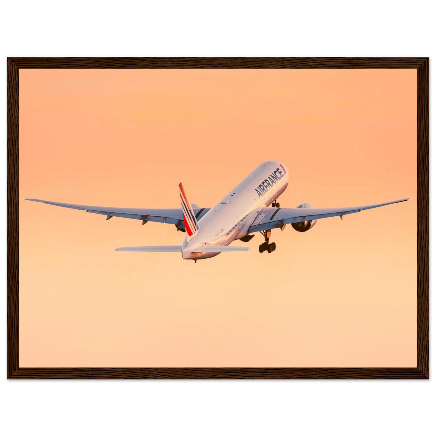 6233dab5-a974-421d-a97e-89f95eaa8490