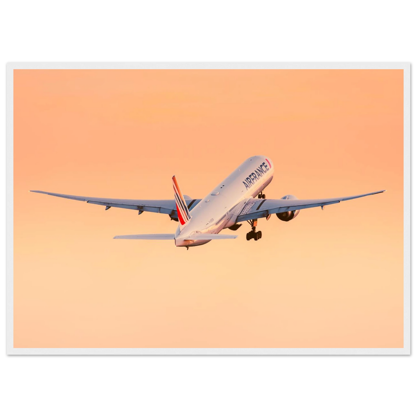 9f7364c7-2acc-4935-a71f-f2d4e7d55390