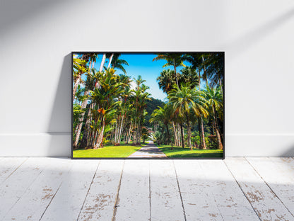 Allée Tropicale