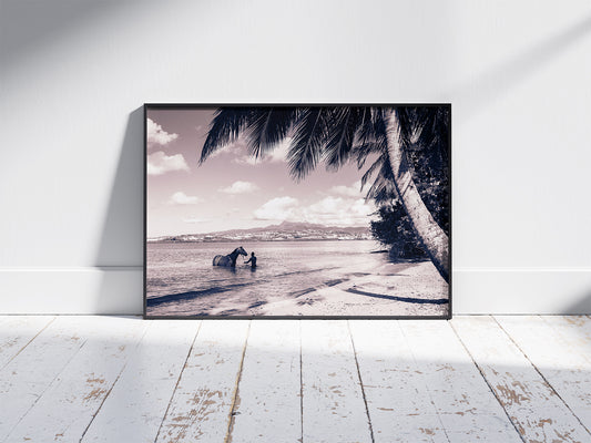 L’Échappée Belle