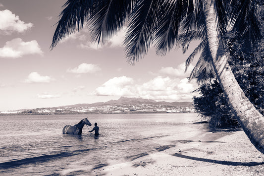 L’Échappée Belle