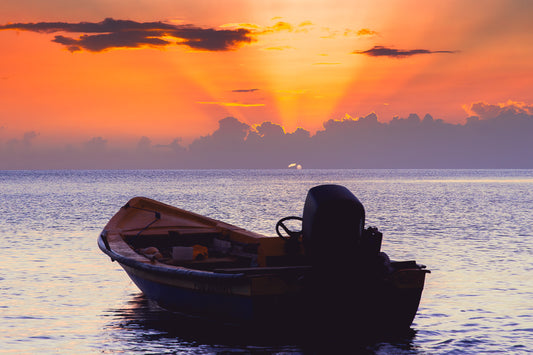 L’Attente du Soleil