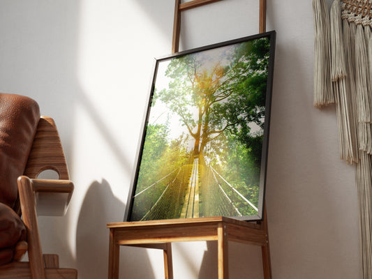 Chemin vers la Canopée