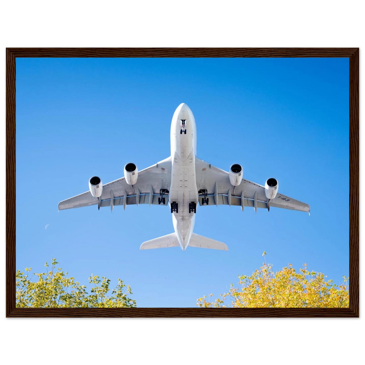c894bcc9-7ab7-4ec4-b7af-788b7938847e