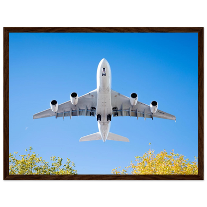 c894bcc9-7ab7-4ec4-b7af-788b7938847e