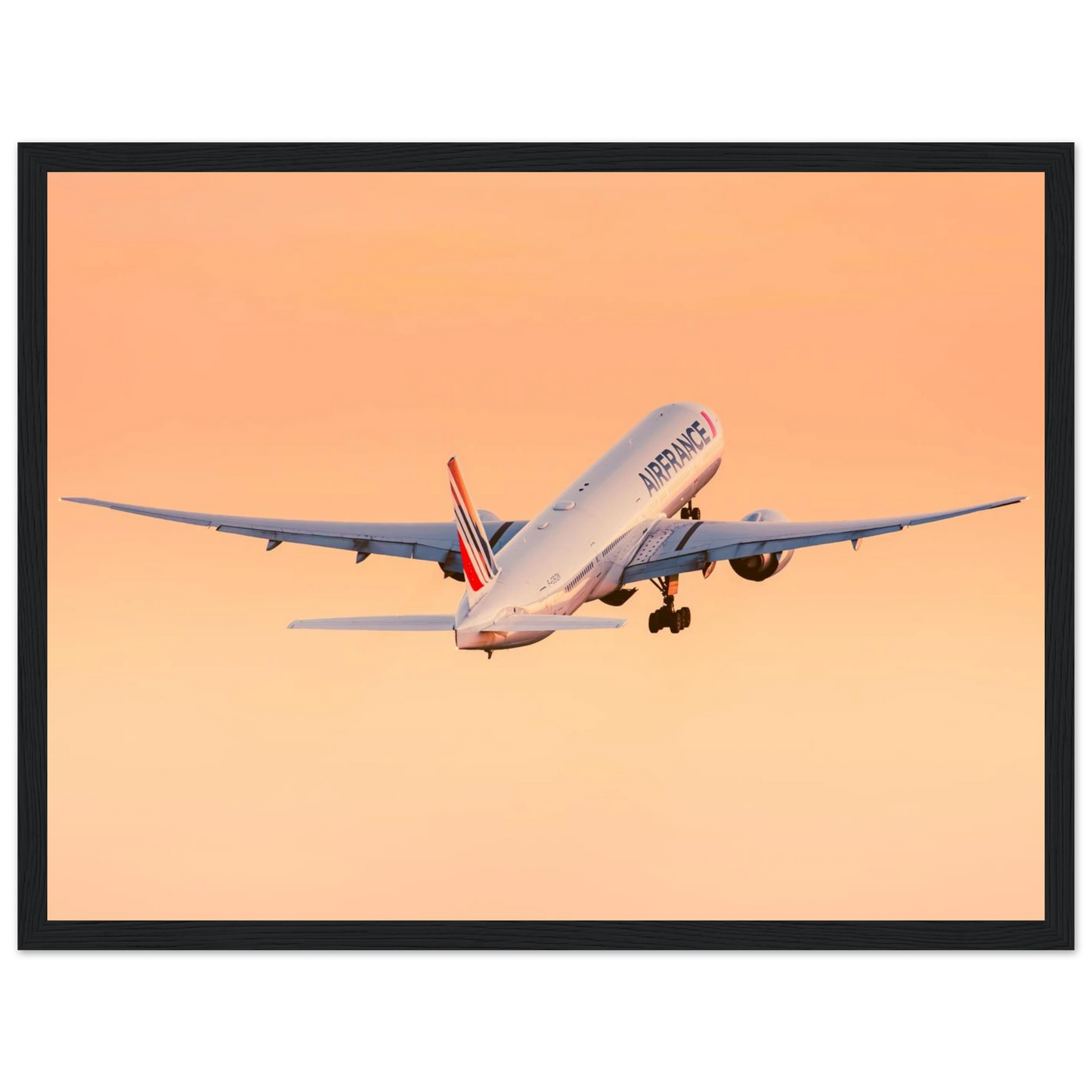 ec35f0d3-9074-4857-9a25-df92cde463e2